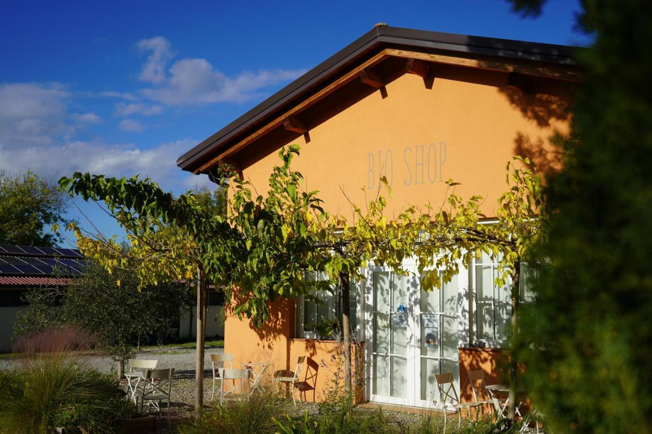 Bioagriturismo Il Cerreto Pomarance Ngoại thất bức ảnh