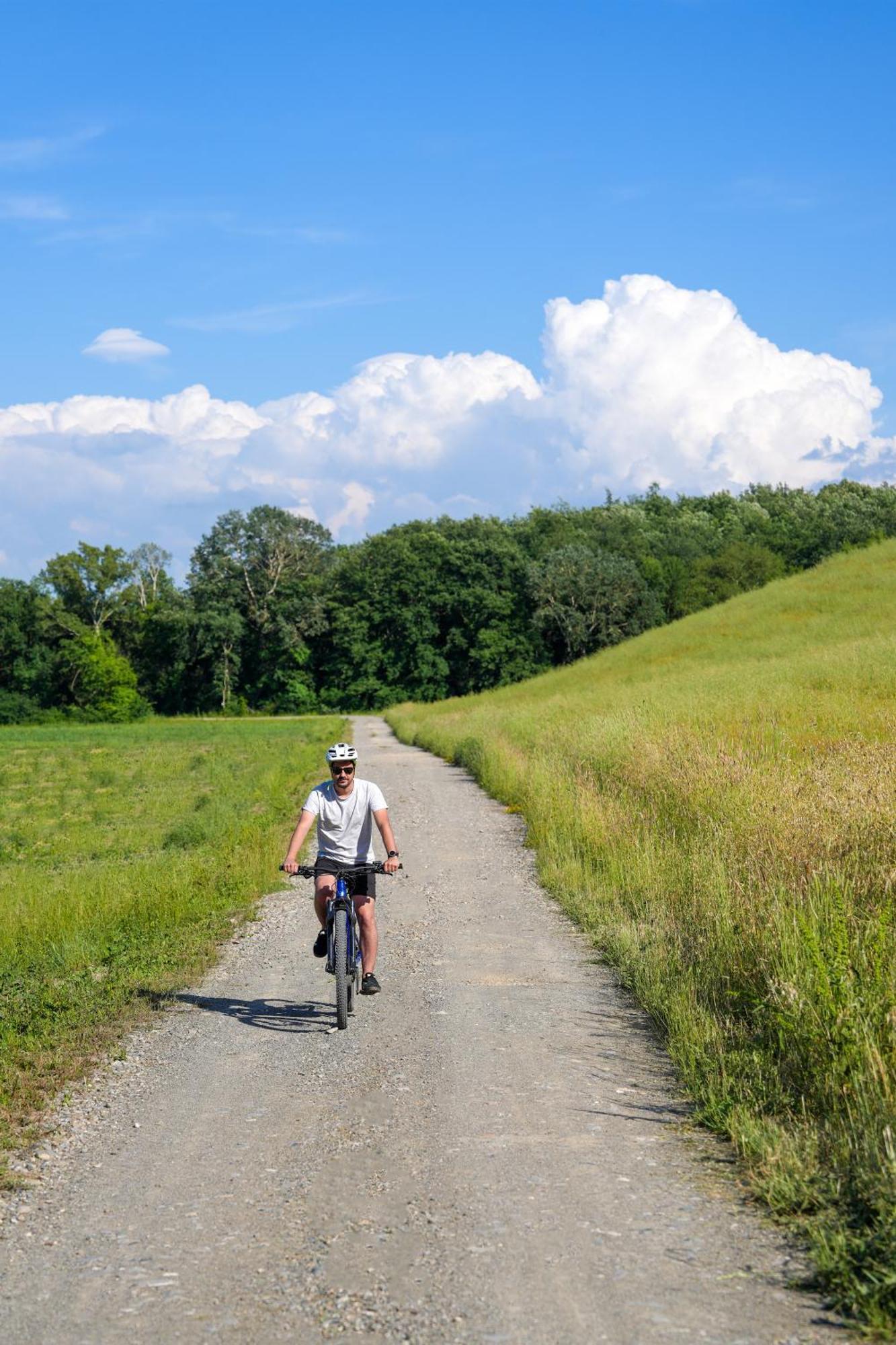 Bioagriturismo Il Cerreto Pomarance Ngoại thất bức ảnh