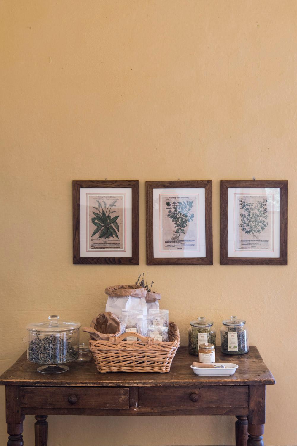 Bioagriturismo Il Cerreto Pomarance Ngoại thất bức ảnh