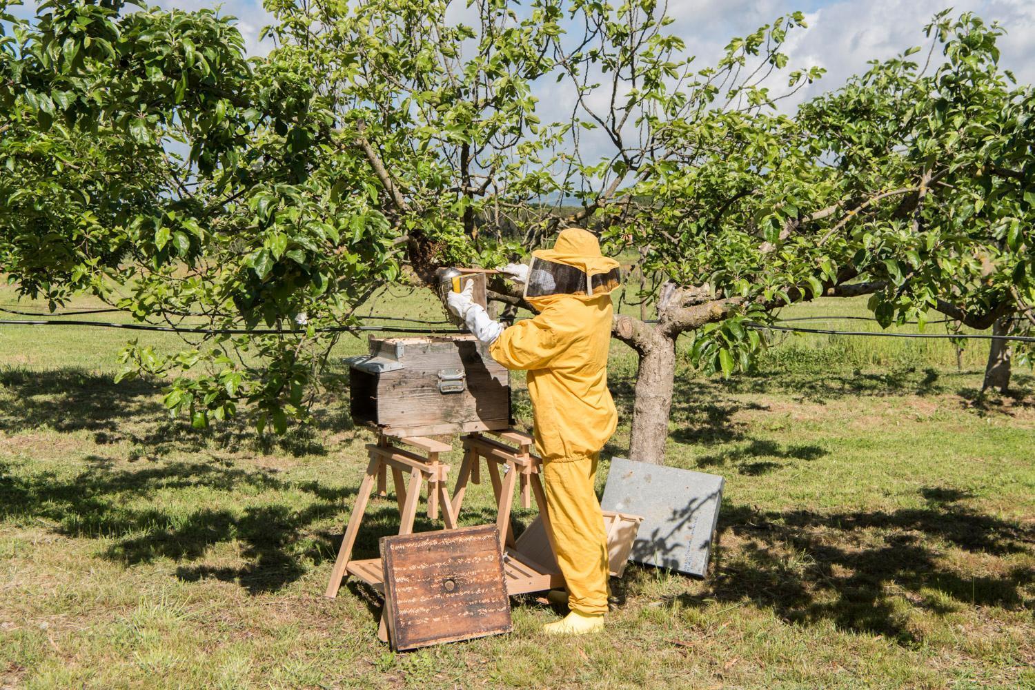 Bioagriturismo Il Cerreto Pomarance Ngoại thất bức ảnh